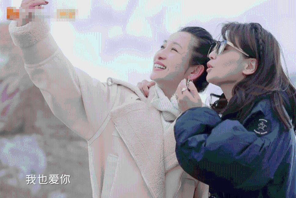 救援达尔马提亚狗