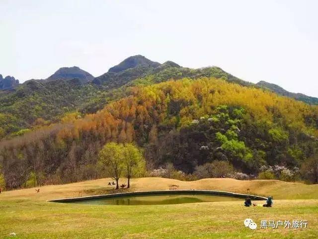 江津区中医院党委书记刘升兵在中华中医药学会第四届慢病管理学术会上作典型交流发言